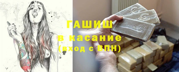 сатива Надым