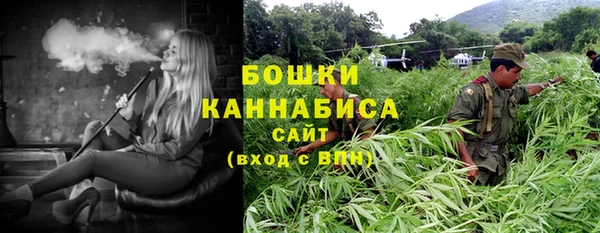 сатива Надым