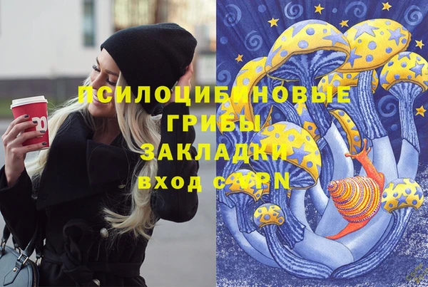 дурь Наволоки