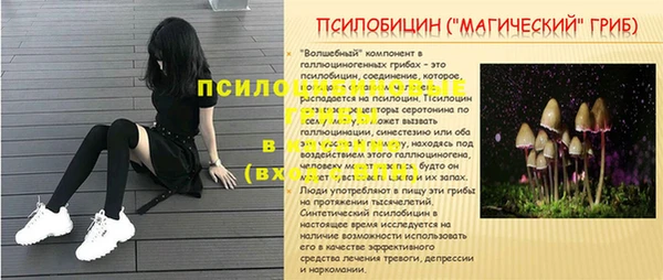 дурь Наволоки