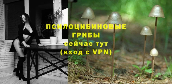 сатива Надым